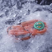 Набор рыбный для ухи из Форели вес Приладожье